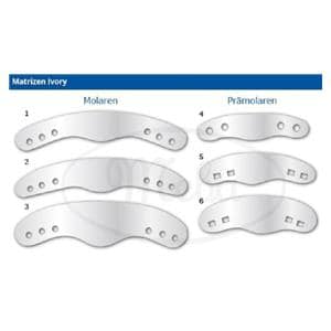 Bandes matrices - Perfores, type 1 molaires n 2