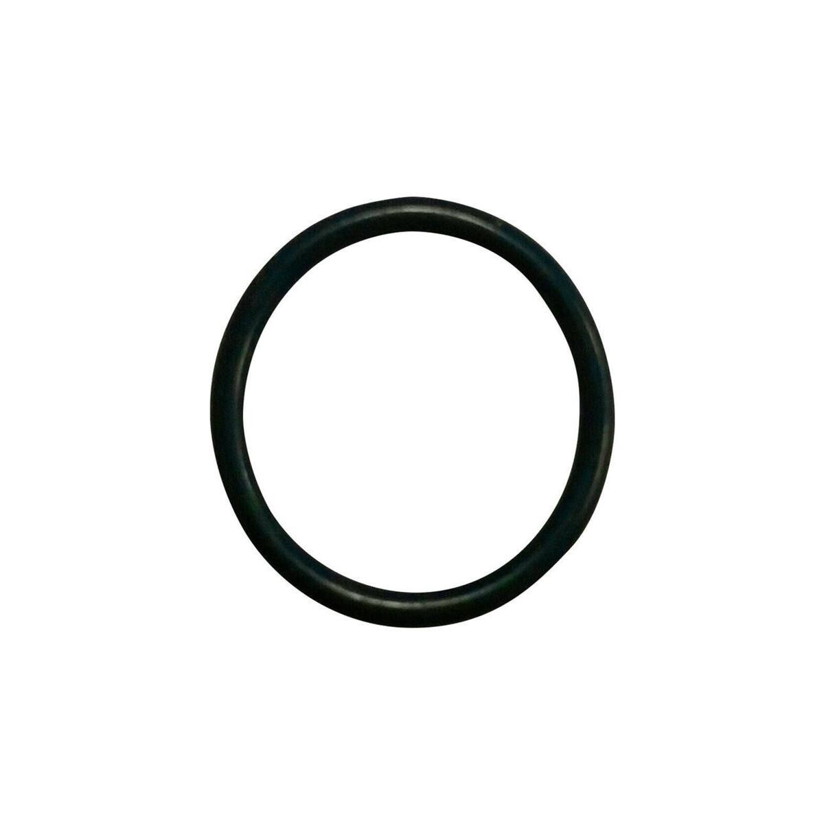 O-ring voor Newtron handstuk  12,5 x 1,5 mm - E15019, per stuk