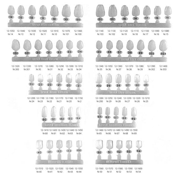 Polycarbonate Crowns - incisives longues - Infrieures 60: longueur 12,0 mm / largeur 6,2 mm