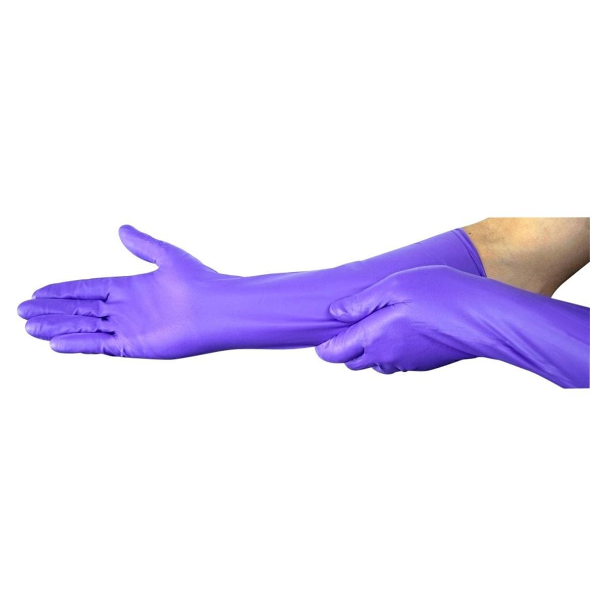 Purple nitrile MAX - XL, 50 pcs